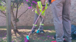 LegalPorno - Bea Cherry AT032 13 02 2026